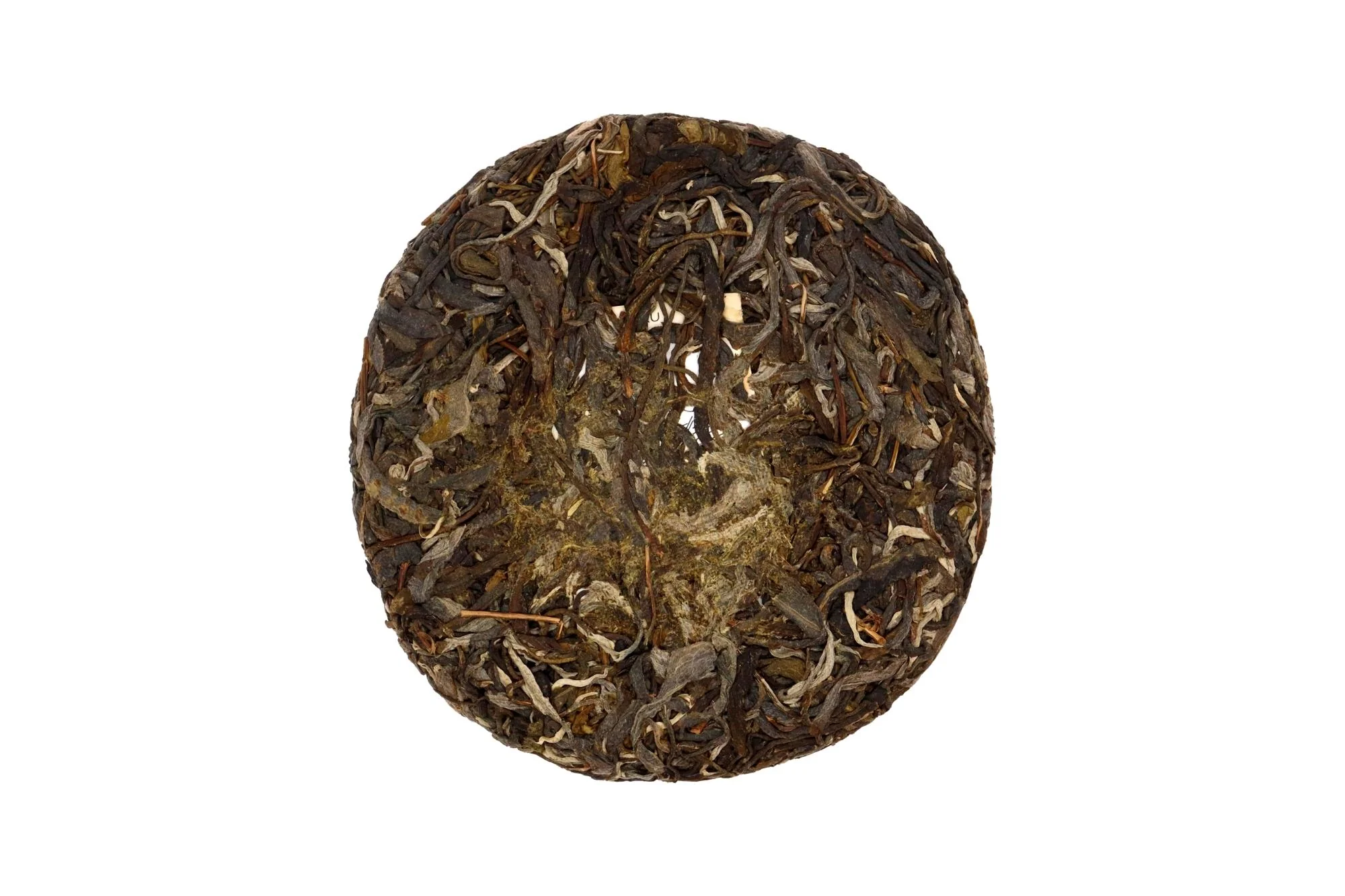 2022 Wild Sheng Pu’er Cake - Image 3