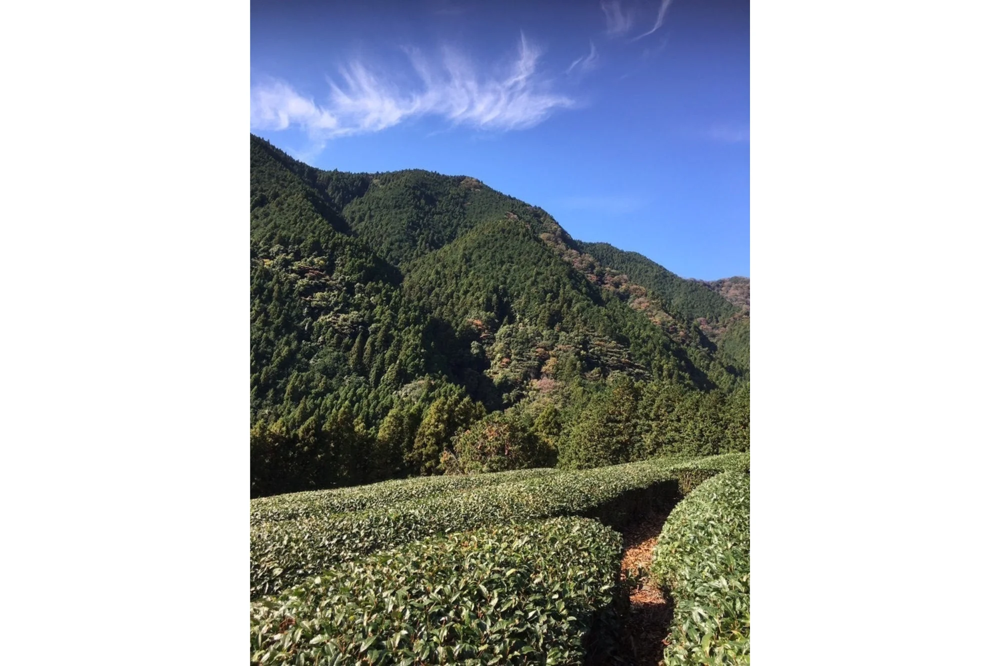 88th Night - Image 3