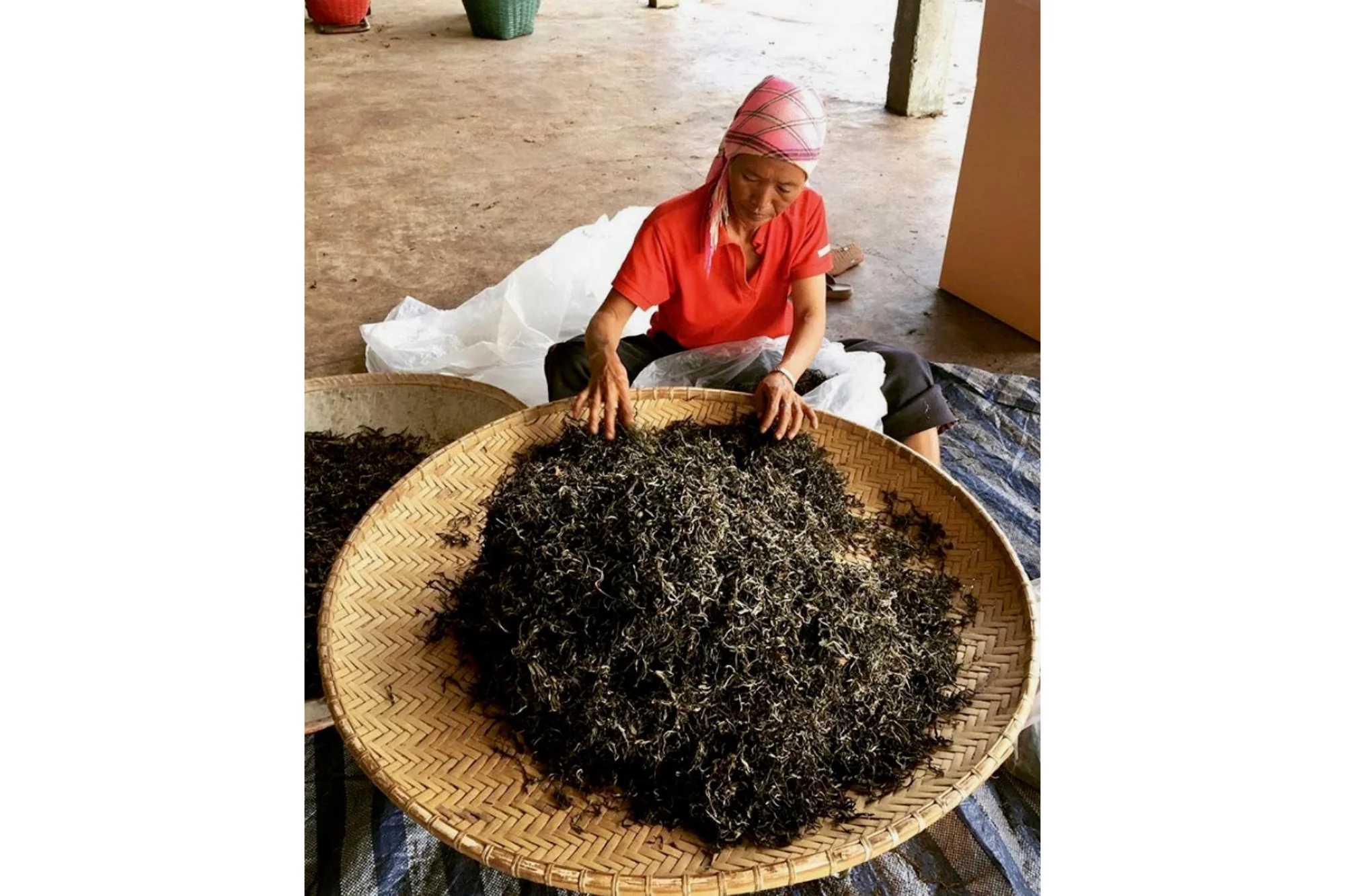 Chiang Rai Black - Image 4