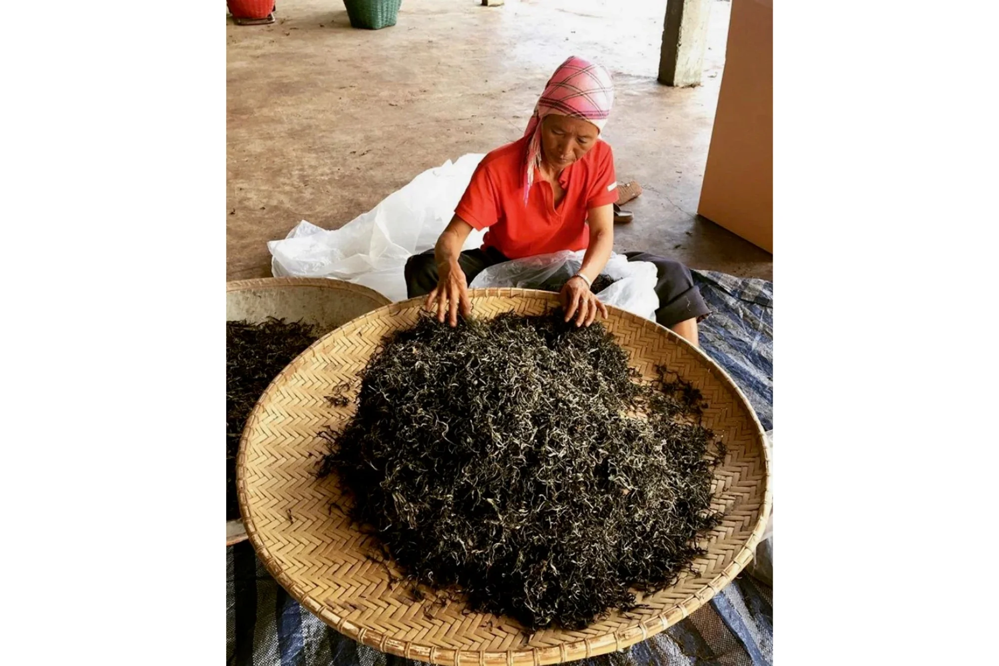 Chiang Rai White - Image 3