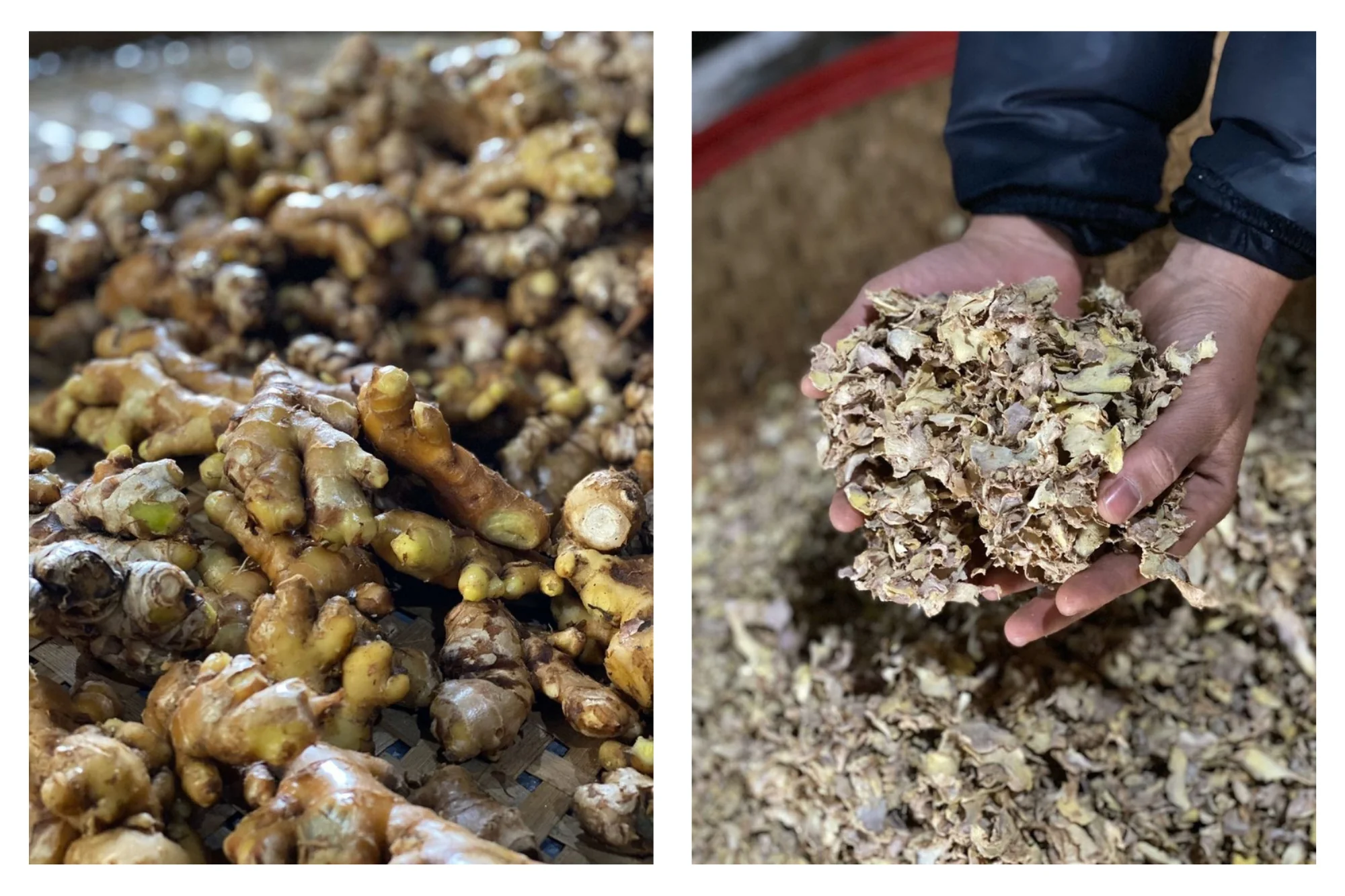 High Mountain Ginger, PARU Reserve - Image 3