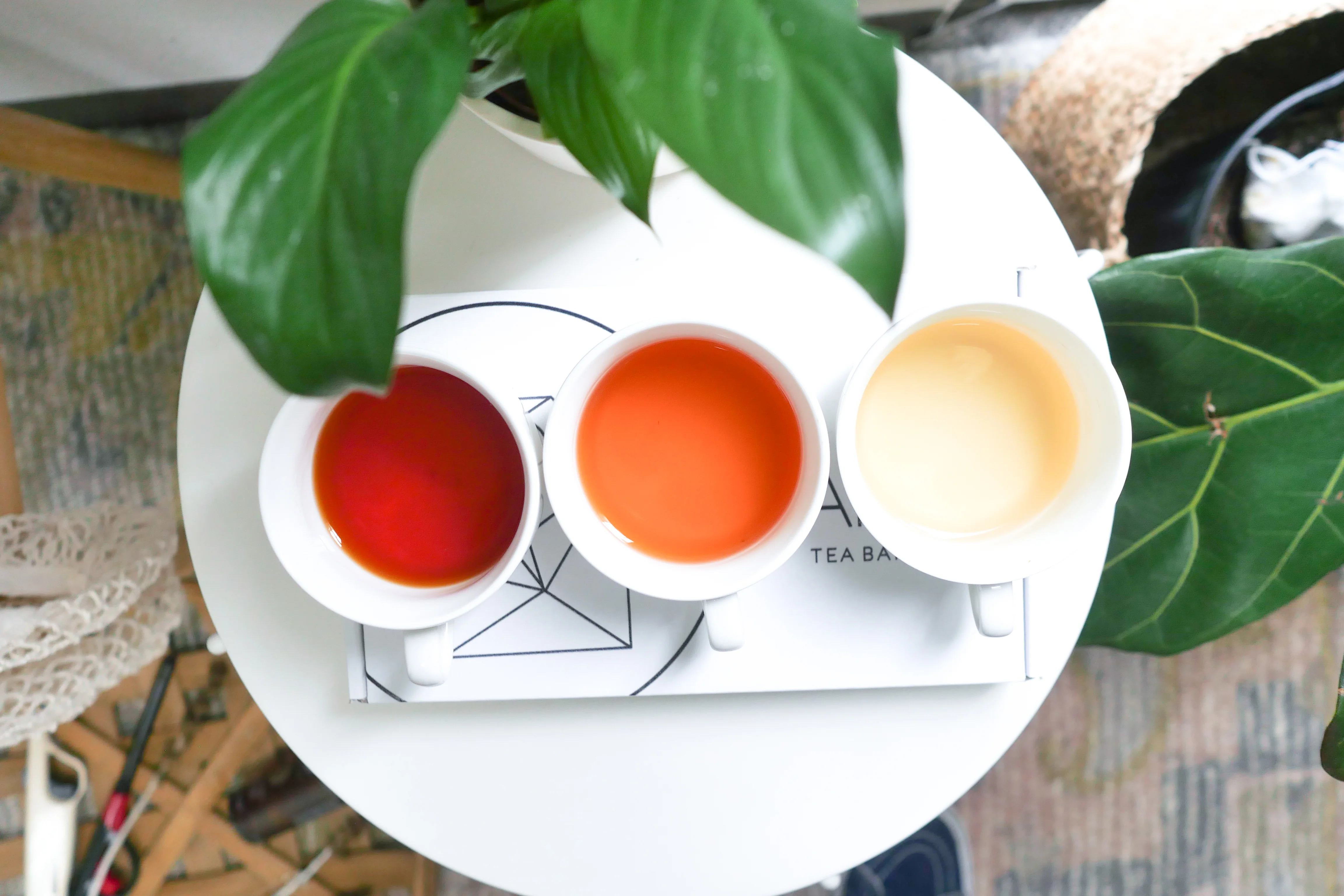 Specialty Tea Subscription (Annual, Prepaid) - Image 3