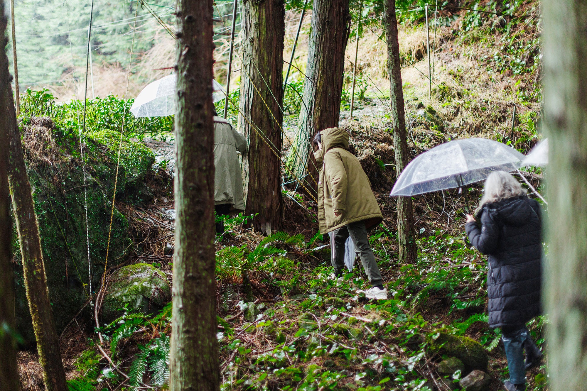 The PARU-Suruga Tour: First Sips - Image 5